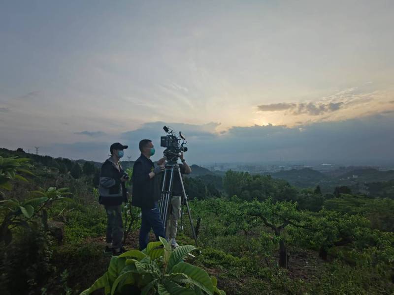 创意破圈！市中区电商产品宣传视频用故事化叙事引爆流量