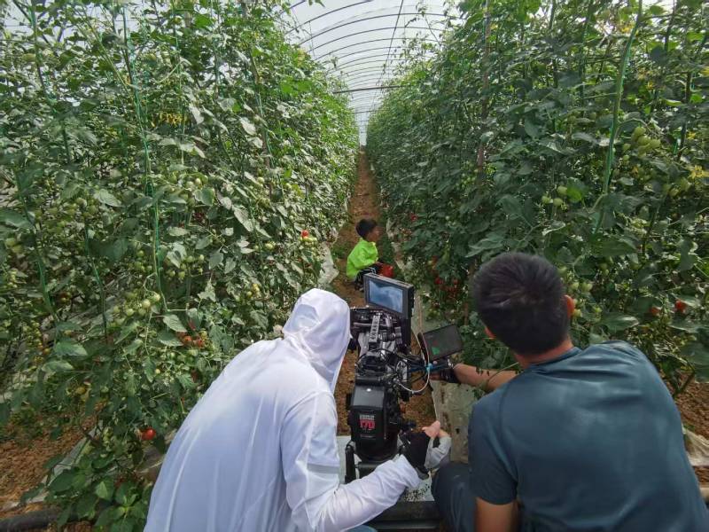 市中区产品宣传视频拍摄公司进阶指南，助力品牌抢占传播高地